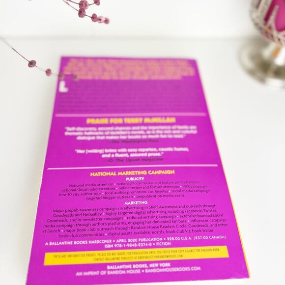 Terry McMillan It's Not All Downhill From Here - Picture 3 of 7